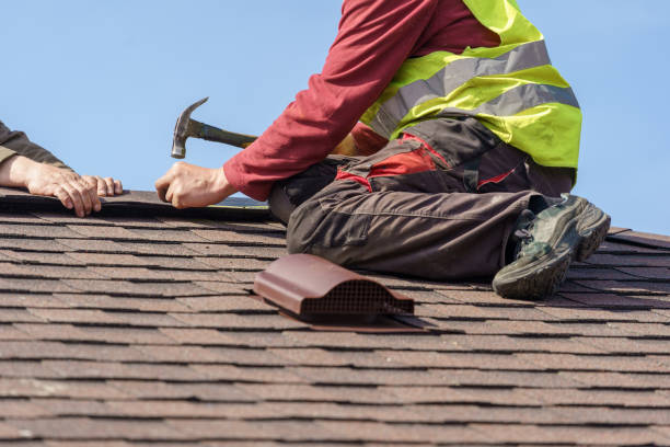 Best Roof Maintenance Services  in Front Royal, VA